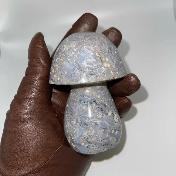 ❤️‍🔥HP❤️‍🔥 Ocean Jasper carved Mushroom B. - Picture 6 of 12